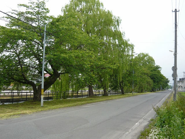 青森県十和田市元町西一丁目6-8